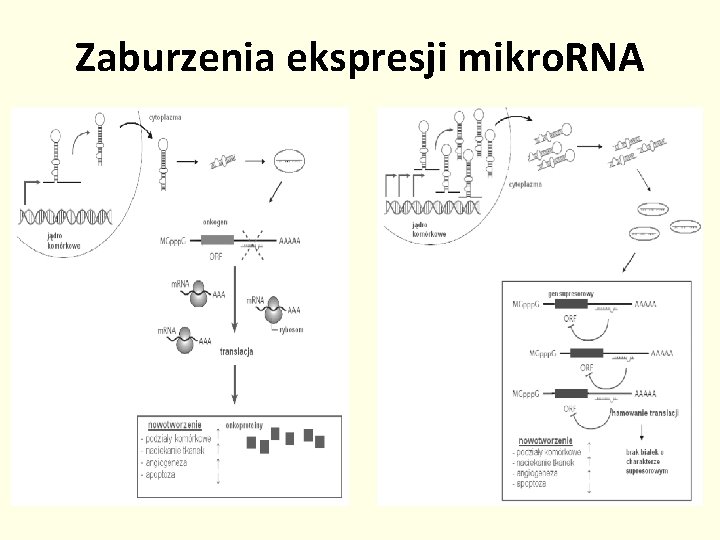 Zaburzenia ekspresji mikro. RNA 