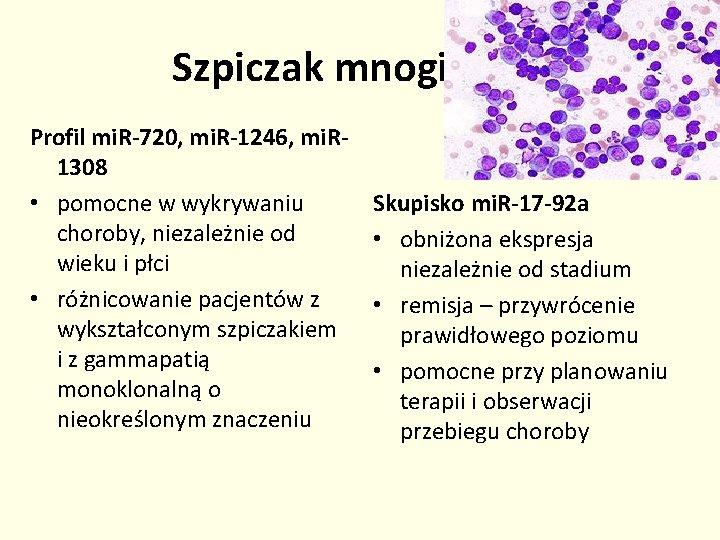 Szpiczak mnogi Profil mi. R-720, mi. R-1246, mi. R 1308 • pomocne w wykrywaniu