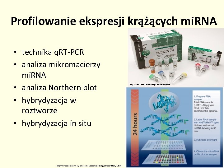 Profilowanie ekspresji krążących mi. RNA • technika q. RT-PCR • analiza mikromacierzy mi. RNA