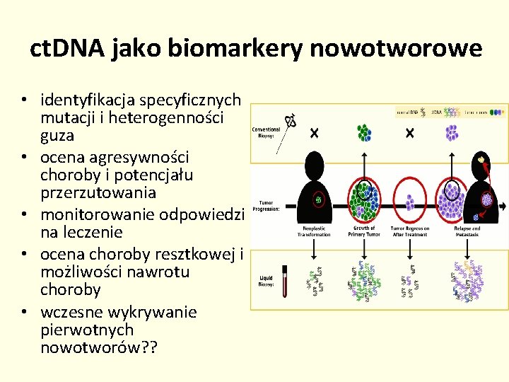 ct. DNA jako biomarkery nowotworowe • identyfikacja specyficznych mutacji i heterogenności guza • ocena