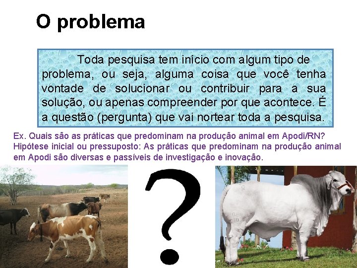 O problema Toda pesquisa tem início com algum tipo de problema, ou seja, alguma