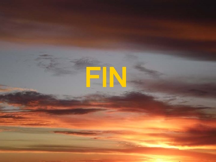 FIN 