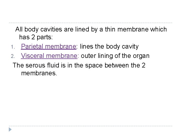  All body cavities are lined by a thin membrane which has 2 parts: