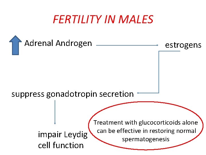 FERTILITY IN MALES • Adrenal Androgen estrogens suppress gonadotropin secretion impair Leydig cell function