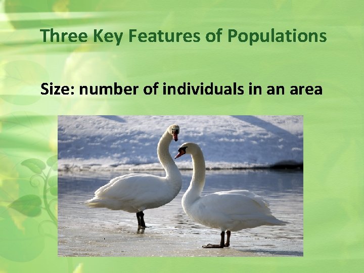 Three Key Features of Populations Size: number of individuals in an area 