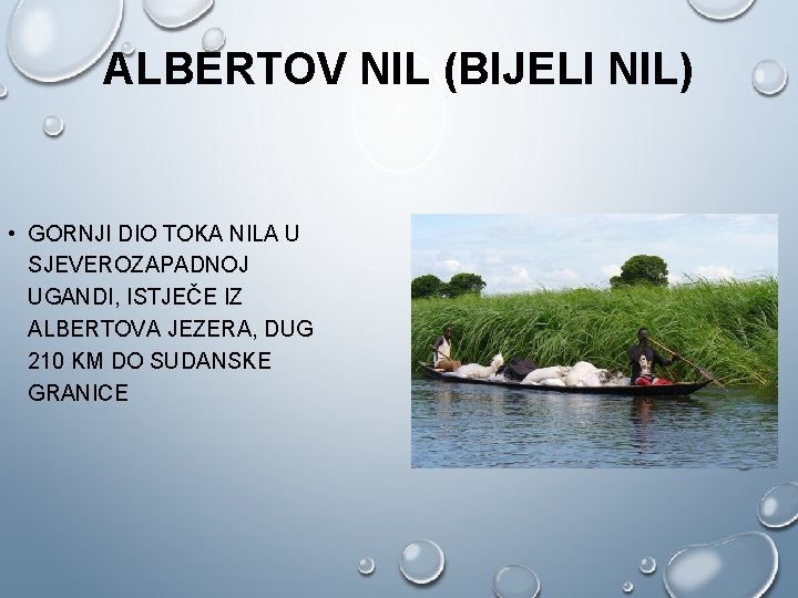 ALBERTOV NIL (BIJELI NIL) • GORNJI DIO TOKA NILA U SJEVEROZAPADNOJ UGANDI, ISTJEČE IZ