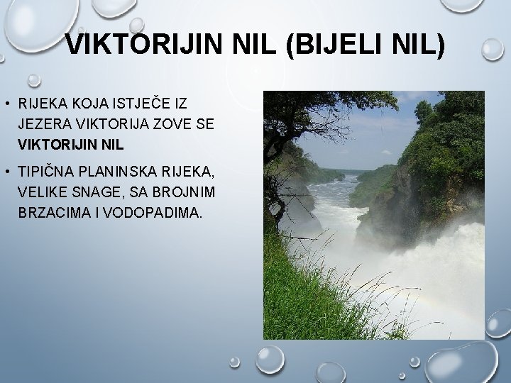 VIKTORIJIN NIL (BIJELI NIL) • RIJEKA KOJA ISTJEČE IZ JEZERA VIKTORIJA ZOVE SE VIKTORIJIN