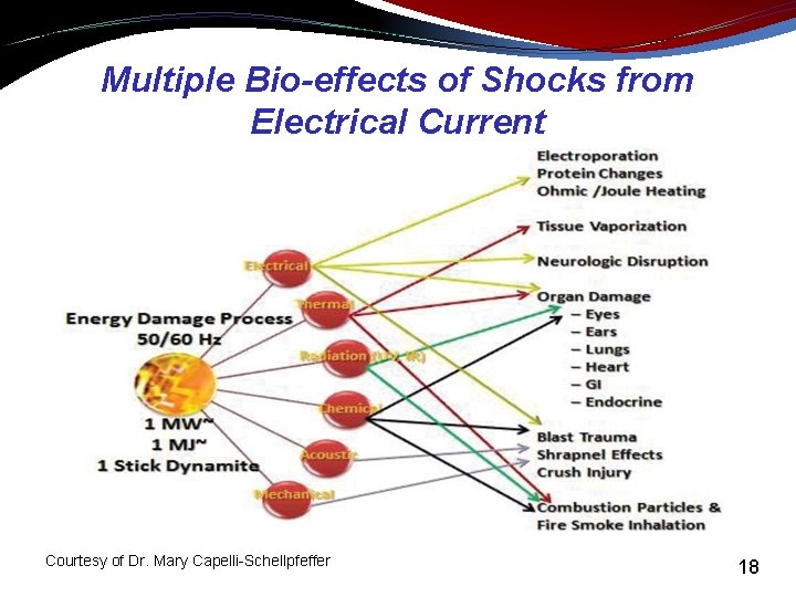 Multiple Bio-effects of Shocks from Electrical Current Courtesy of Dr. Mary Capelli-Schellpfeffer 18 