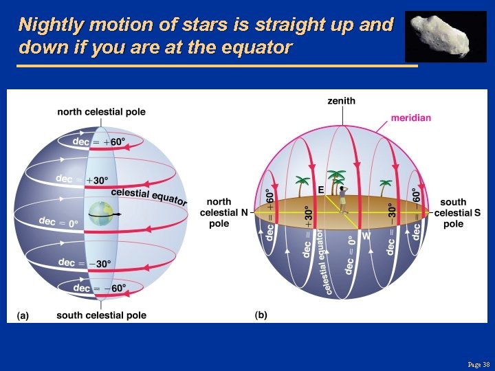 Nightly motion of stars is straight up and down if you are at the