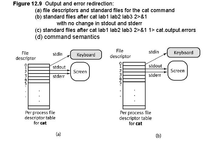 Figure 12. 9 Output and error redirection: (a) file descriptors and standard files for