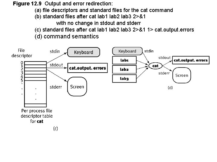 Figure 12. 9 Output and error redirection: (a) file descriptors and standard files for