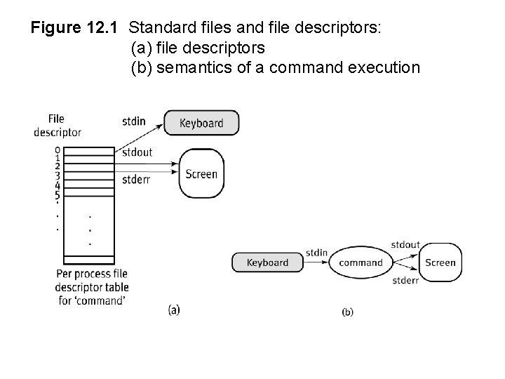 Figure 12. 1 Standard files and file descriptors: (a) file descriptors (b) semantics of