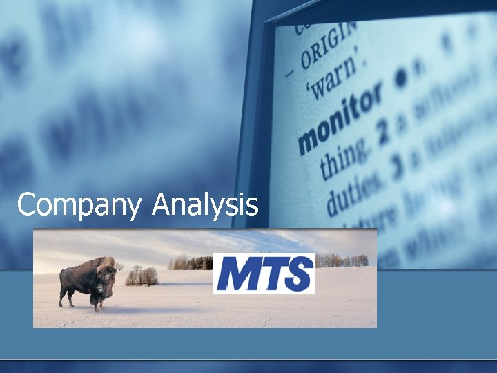 Company Analysis 