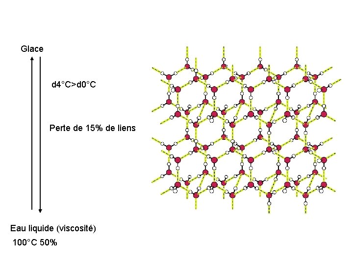 Glace d 4°C>d 0°C Perte de 15% de liens Eau liquide (viscosité) 100°C 50%