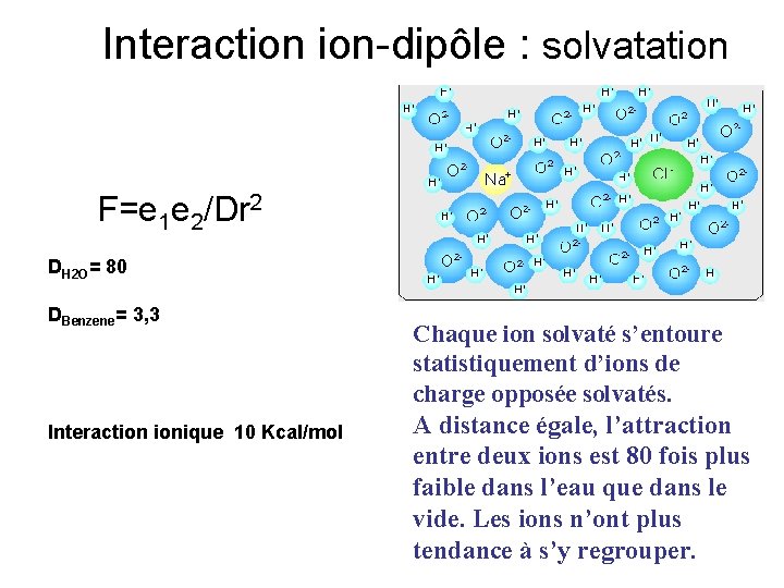 Interaction ion-dipôle : solvatation F=e 1 e 2/Dr 2 DH 2 O= 80 DBenzene=