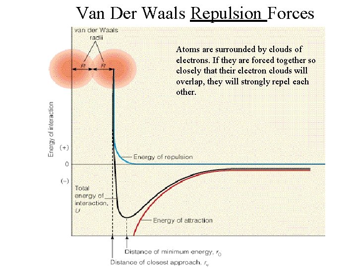 Van Der Waals Repulsion Forces Atoms are surrounded by clouds of electrons. If they