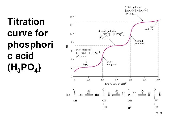 Titration curve for phosphori c acid (H 3 PO 4) +/- 