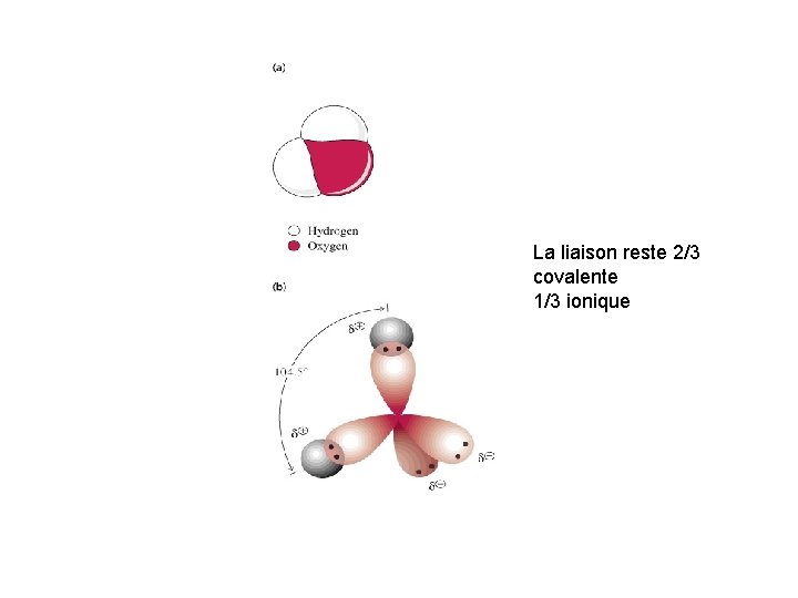 La liaison reste 2/3 covalente 1/3 ionique 