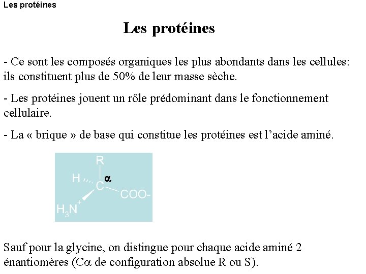 Les protéines - Ce sont les composés organiques les plus abondants dans les cellules: