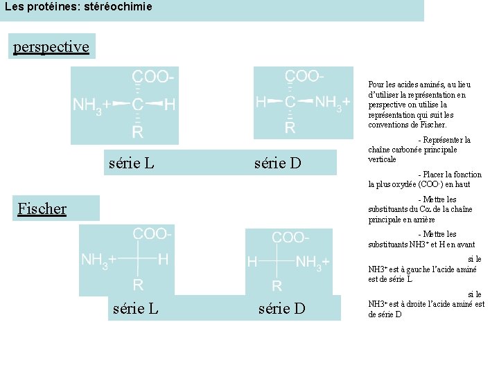 Les protéines: stéréochimie perspective Pour les acides aminés, au lieu d’utiliser la représentation en