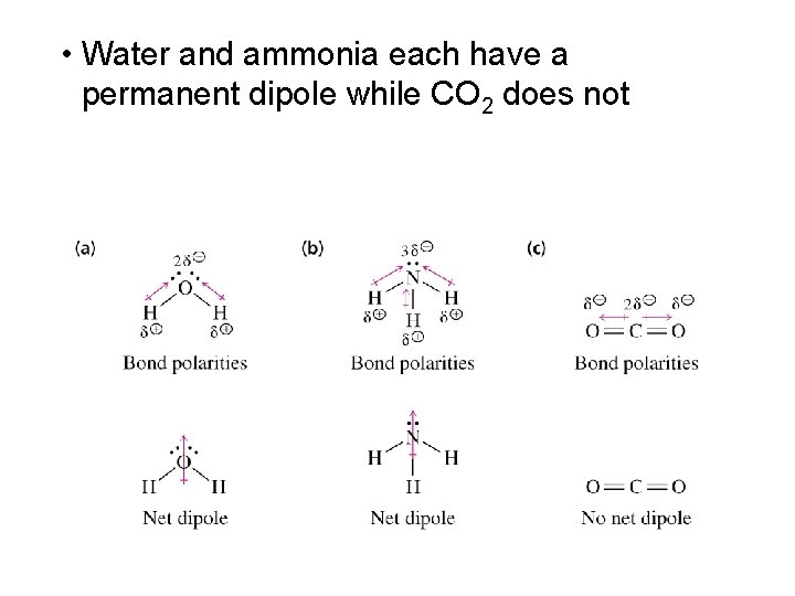  • Water and ammonia each have a permanent dipole while CO 2 does