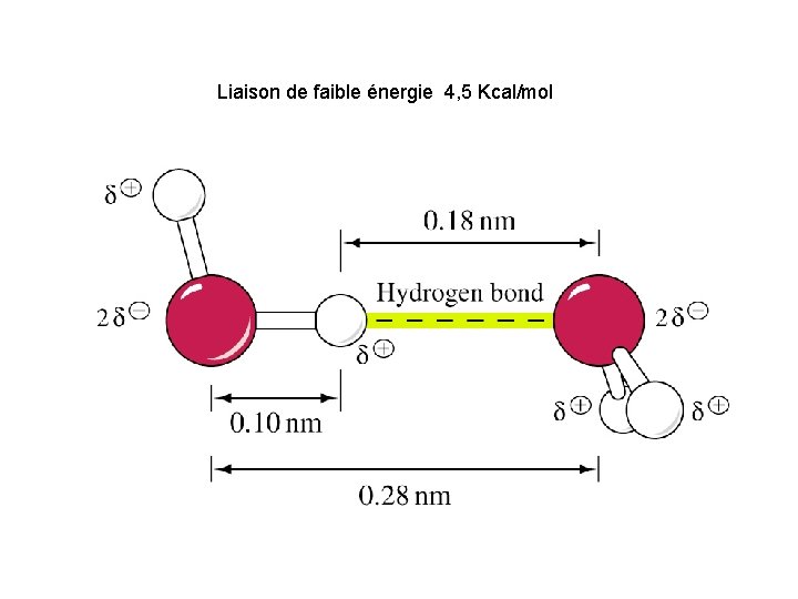 Liaison de faible énergie 4, 5 Kcal/mol 