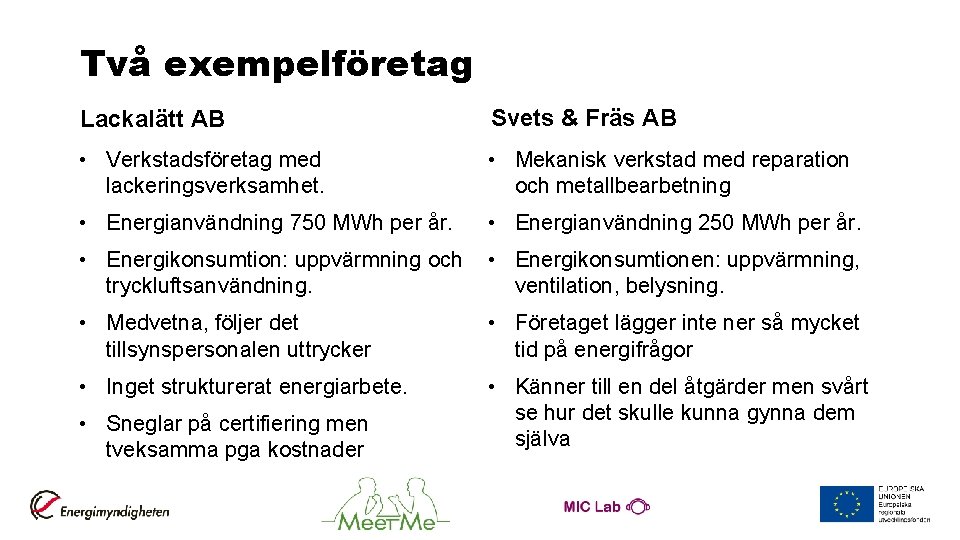 Två exempelföretag Lackalätt AB Svets & Fräs AB • Verkstadsföretag med lackeringsverksamhet. • Mekanisk