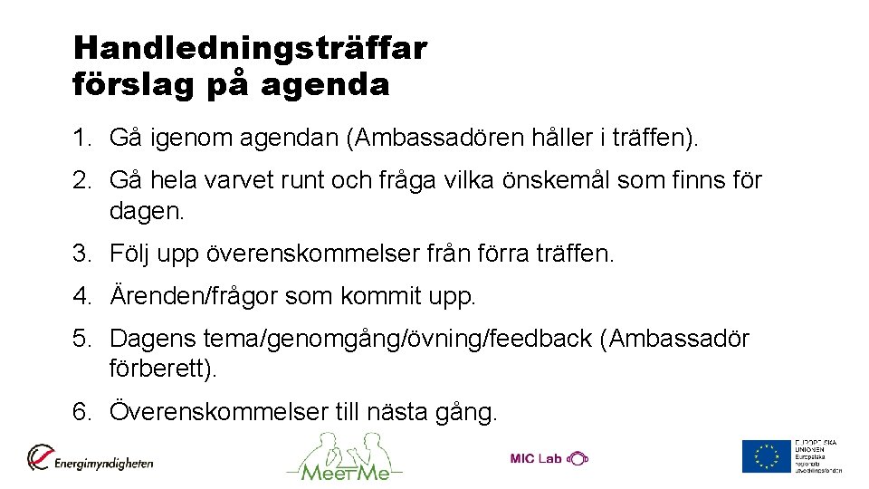 Handledningsträffar förslag på agenda 1. Gå igenom agendan (Ambassadören håller i träffen). 2. Gå