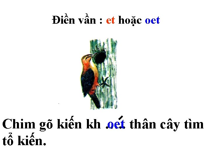 Điền vần : et hoặc oet thân cây tìm Chim gõ kiến kh ….