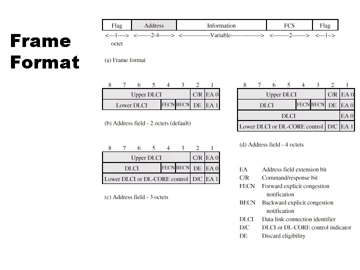 Frame Format 