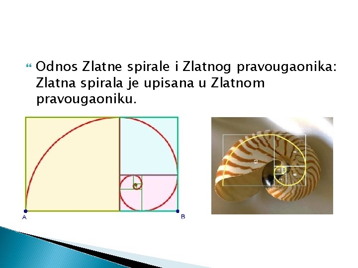 Odnos Zlatne spirale i Zlatnog pravougaonika: Zlatna spirala je upisana u Zlatnom pravougaoniku. Odnos Zlatne spirale i Zlatnog pravougaonika: Zlatna spirala je upisana u Zlatnom pravougaoniku.