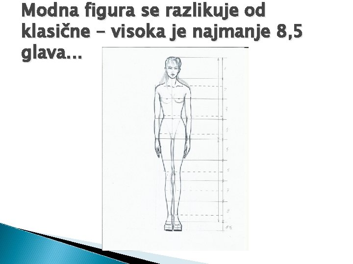 Modna figura se razlikuje od klasične - visoka je najmanje 8, 5 glava. .