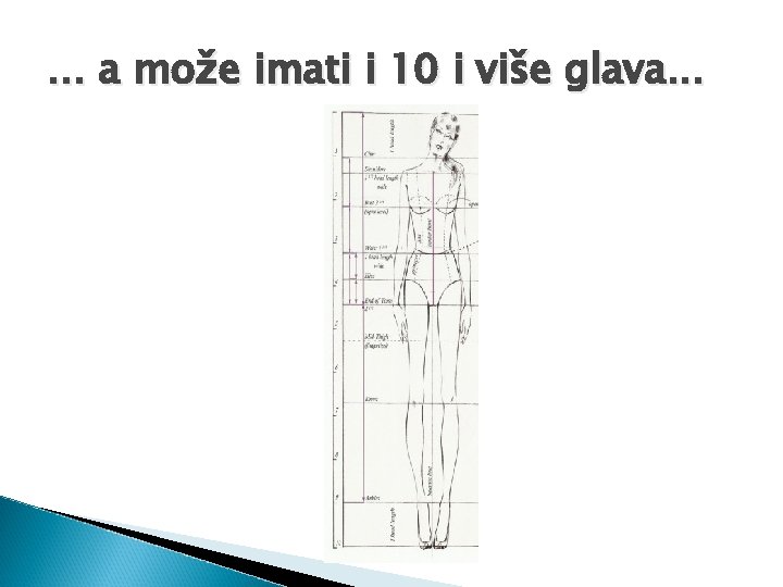 . . . a može imati i 10 i više glava. . . 