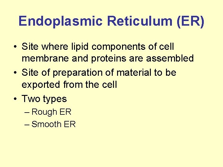 Endoplasmic Reticulum (ER) • Site where lipid components of cell membrane and proteins are