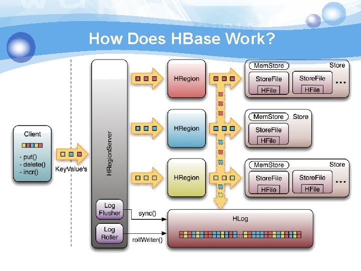 How Does HBase Work? 