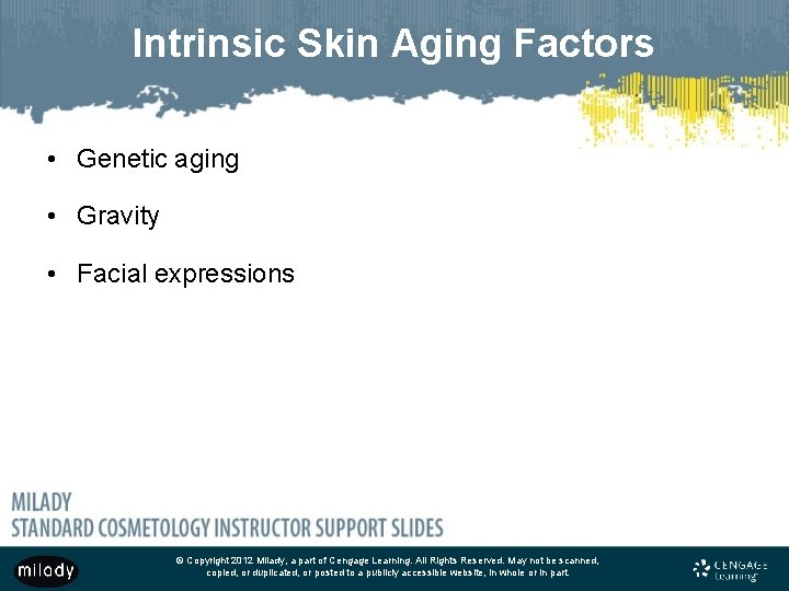 Intrinsic Skin Aging Factors • Genetic aging • Gravity • Facial expressions © Copyright