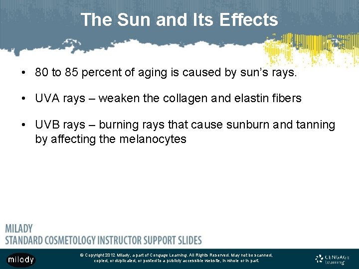 The Sun and Its Effects • 80 to 85 percent of aging is caused