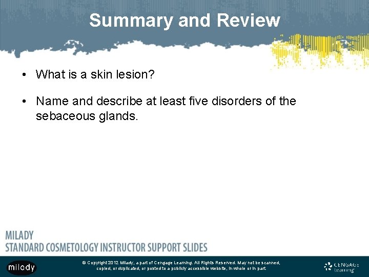 Summary and Review • What is a skin lesion? • Name and describe at