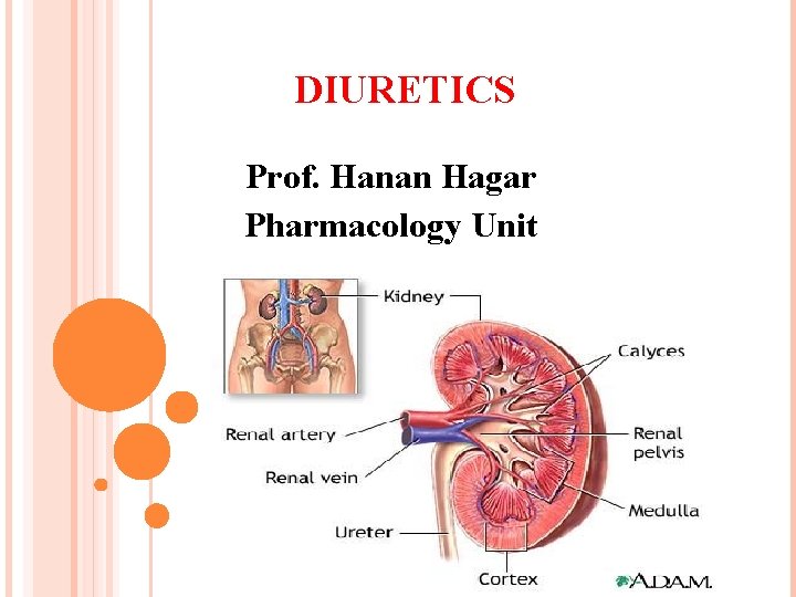 DIURETICS Prof. Hanan Hagar Pharmacology Unit 