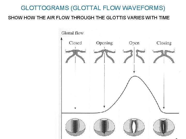 GLOTTOGRAMS (GLOTTAL FLOW WAVEFORMS) SHOW THE AIR FLOW THROUGH THE GLOTTIS VARIES WITH TIME