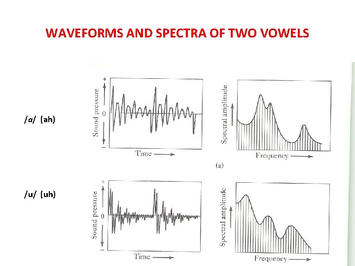 WAVEFORMS AND SPECTRA OF TWO VOWELS /a/ (ah) /u/ (uh) 