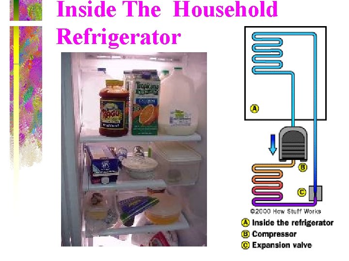 Inside The Household Refrigerator 