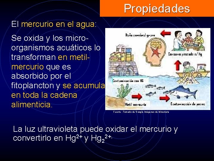 Propiedades El mercurio en el agua: Se oxida y los microorganismos acuáticos lo transforman