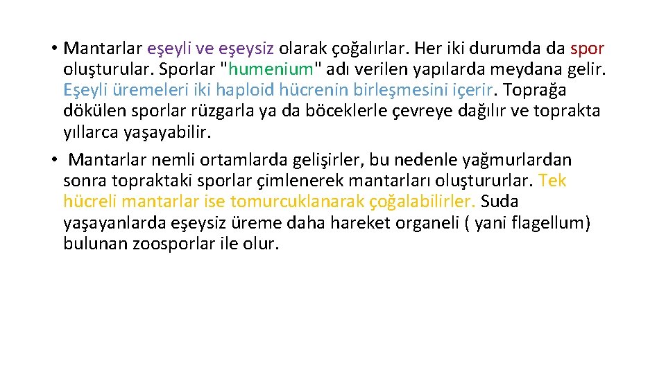  • Mantarlar eşeyli ve eşeysiz olarak çoğalırlar. Her iki durumda da spor oluşturular.