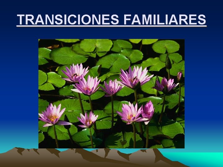 TRANSICIONES FAMILIARES 