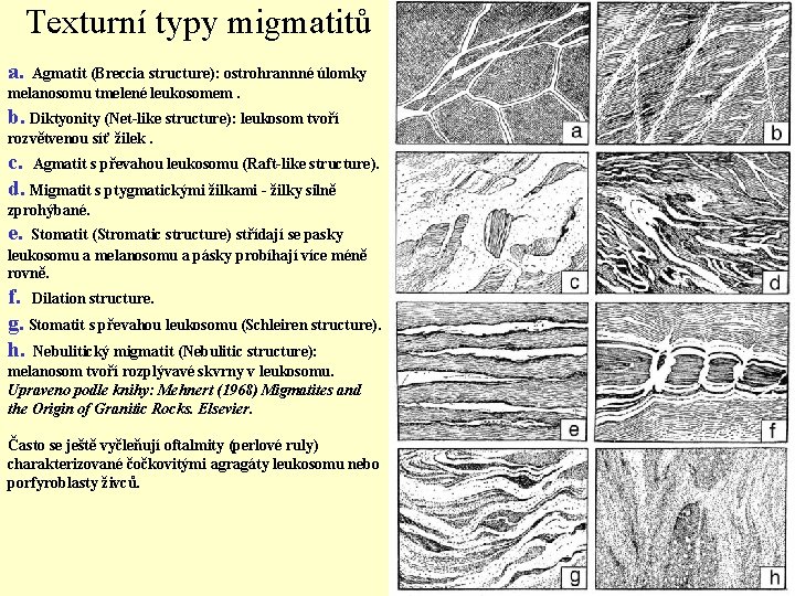 Texturní typy migmatitů a. Agmatit (Breccia structure): ostrohrannné úlomky melanosomu tmelené leukosomem. b. Diktyonity