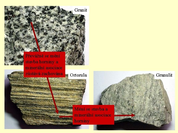 Granit Převážně se mění stavba horniny a minerální asociace zůstává zachována Ortorula Mění se