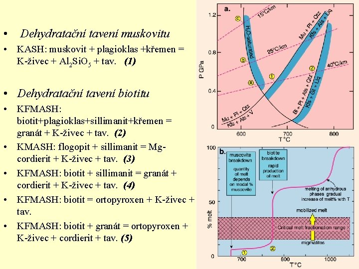  • Dehydratační tavení muskovitu • KASH: muskovit + plagioklas +křemen = K-živec +