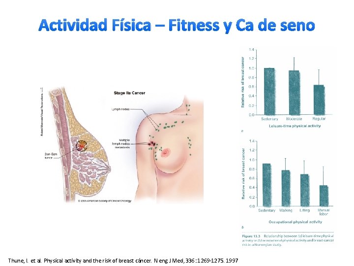 Actividad Física – Fitness y Ca de seno Thune, I. et al. Physical activity