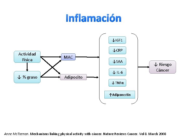 Inflamación ↓IGF 1 Actividad Física ↓ % graso ↓CRP MAC Adipocito ↓SAA ↓ IL-6
